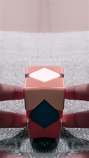 where did my skewb go?