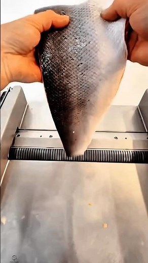 Salmon Skinning Machine Work Tool for Professional Fillet Processing #worktool