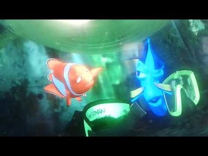 Finding nemo Bruce got crazy