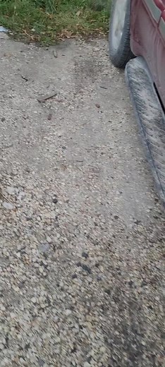 Cleaning a Car Window: Step-by-Step Process