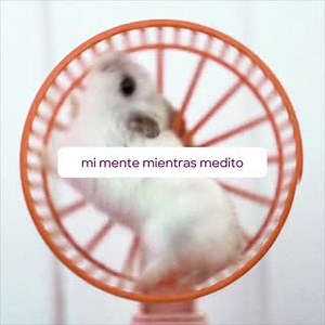 Wellhub on Reels | Facebook