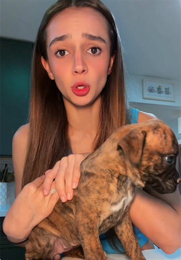 Said goodbye to the puppies 🥹🐾 and hello to a clean house thanks to @Angi (Formerly Angie’s List) 🤍#AngiPartner