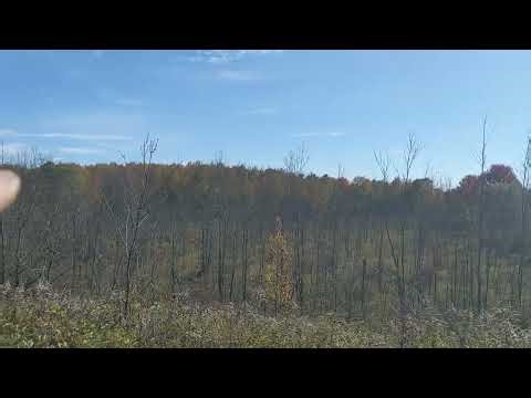 Site survey solar field archive