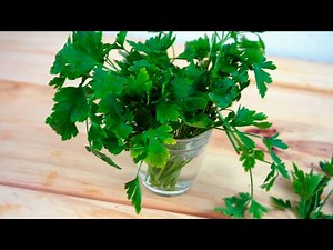 How to Store Parsley fresh for long time | kitchen tricks