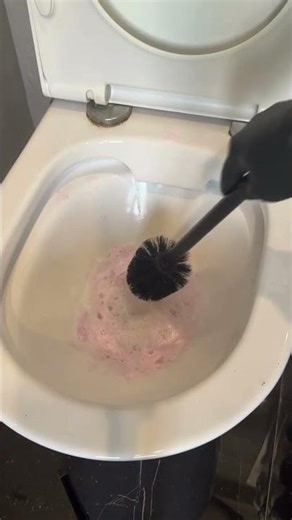 Foaming Toilet Cleaner Test — So Satisfying 🚽✨