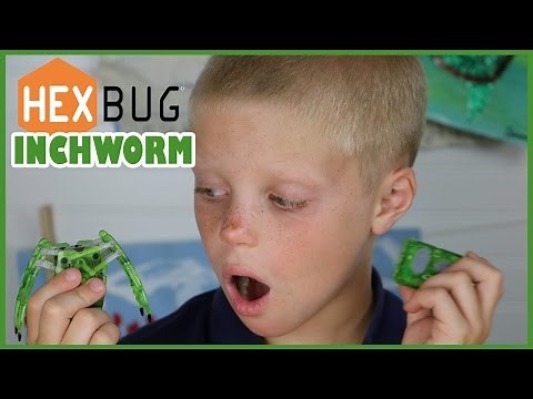 Hexbug Inchworm Remote Controlled Bug Review