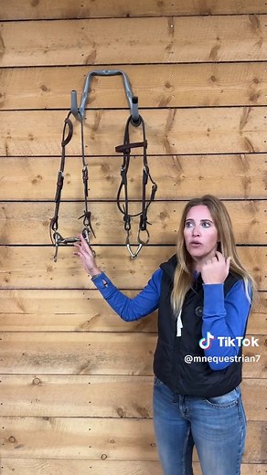 Understanding Snaffle and Leverage Bits in Riding