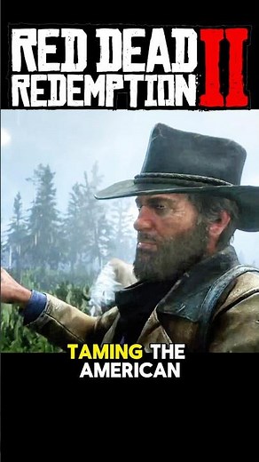 Taming the 'Black Beauty' American Standardbred #gaming #rdr2 #reddeadredemption