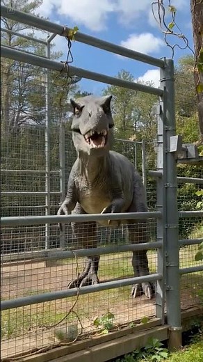 T. rex Escapes the Paddock in 4K HDR – Jurassic Park Scene Remastered 🦖 #animals