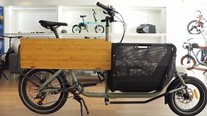 Front-loading Ebike Delivery Services 350W High Torque Electric Cargo Bike