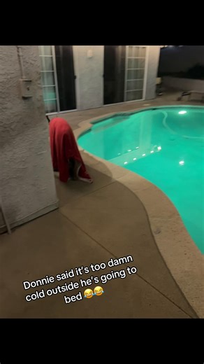 He can be such a diva ..the attitude and I asked where he was going😂 #doberman #nightnight #bedtime #babyitscoldoutside #foryoupage