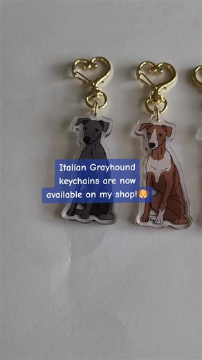 Italian Grayhound keychains are now available on my shop! You can find them plus many more adorable dog and cat stickers and keychains!🐶🐶 link to my shop can currently be found on my other account @Silvermoon #italiangrayhound #acryliccharm #dogkeychains #italiangrayhoundsoftiktok #dogsoftiktok
