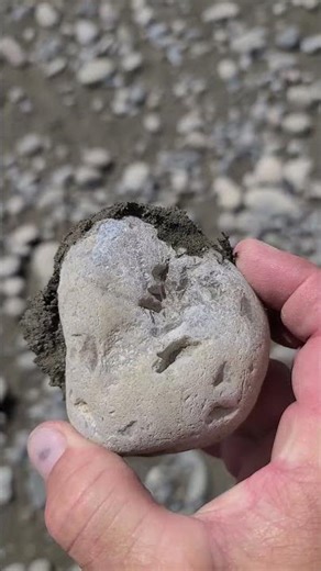 More agate from the Yellowstone River #agate #crystals #geology