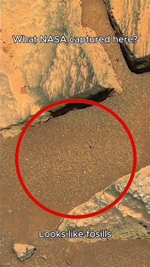 Nobody Was Ready For This Mars Footage