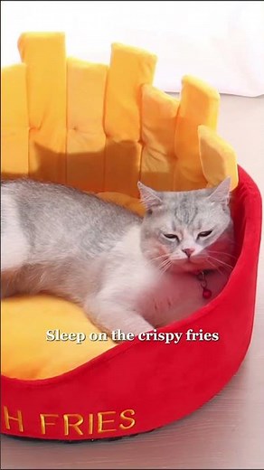 A burger for your cat?! 🍔🍟