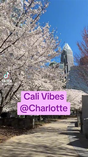 #charlotte ##cali #LA