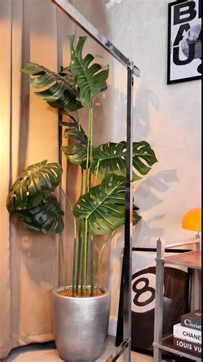 Discover the Stylish Script at Lumina Point Mall, Imus | #script #scriptsociety