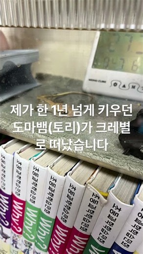 크레별