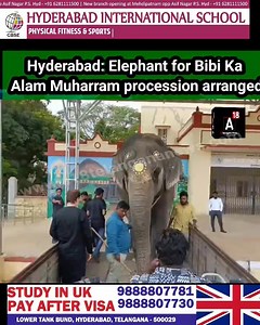 Hyderabad: Elephant for Bibi Ka Alam Muharram procession arranged | A18 Telangana News