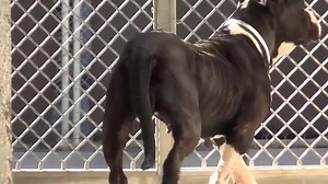 120 reactions · 674 shares | PENNY looks like she was used for...