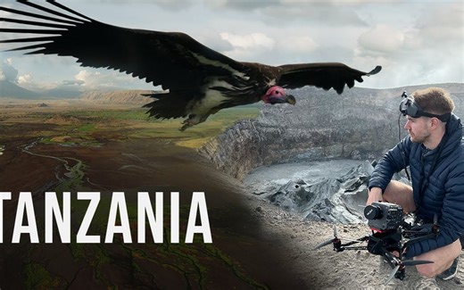 【果然】油管Ellis van Jason「4K 坦桑尼亚|电影FPV ！」