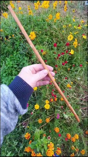 DIY Seed Sowing Tool Tutorial