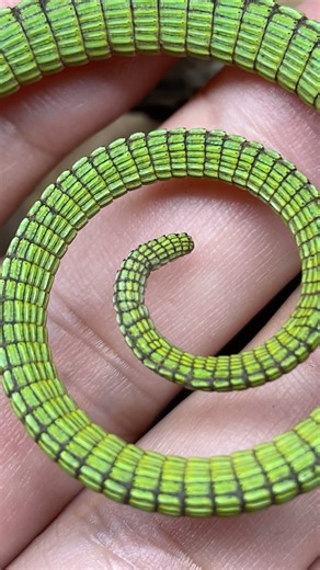 69K views · 210 reactions | Sabzi the green tree monitor lizard (Varanus prasinus)年. Tree monitor lizards have prehensile tails they use to help them secure their bodies, hang, or facilitate leading an arboreal lifestyle. Aren’t they just magical? • #treemonitor #varanusprasinus #reels #viral #instagram #pet #animal #reptiles #varans #greentreemonitor #sabzithegreentreemonitor #reptiliatus #monitorlizard #lizard #pets #reptile #lizardsofinstagram #lizards | Reptiliatus | Facebook