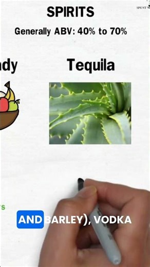 How are your favorite spirits ACTUALLY made? 📚 (Rum, Vodka, Tequila)