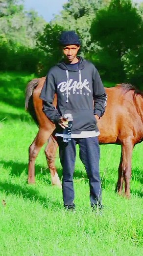 Dj jing movies official (@djjingmoviesofficial)’s videos with original sound - Anitha