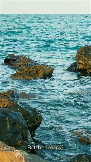 SHOCKING Truth About Category 1 Exposed - Is It Better Than Option 2