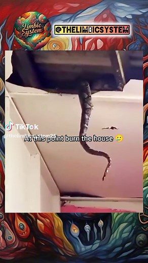 Understanding the Limbic System and Its Role