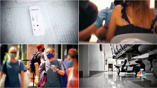 White House to develop antiviral Covid pills as delta variant spreads