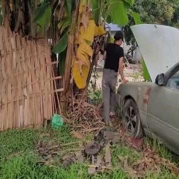 When Orphans Become Strong Too Early | A Heartbreaking Reality of Survival #villagelife #survival