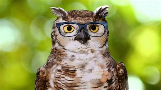 America's Best Contacts and Eyeglasses TV Spot, 'Guess What: Pair Eyewear Starting at $139.95'