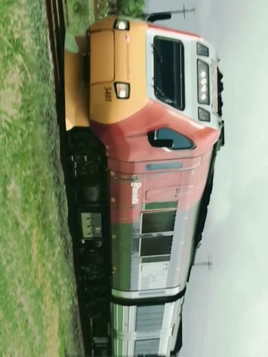 Spirit of Queensland: Discover the Scenic Rail Experience