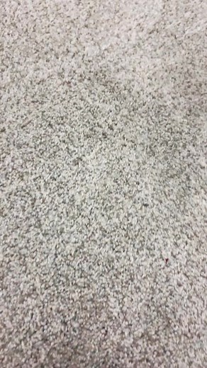 How to Make Your Carpet Softer