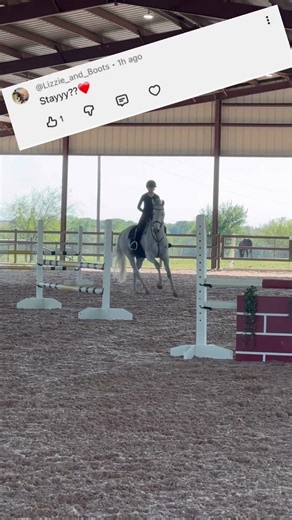 should i stay or should i go RESULTS!! did i fool you??😂 #horse #jumping #equestrian #funny #fails