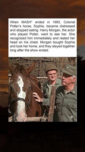 39 Years Later: The Unbreakable Bond of Colonel Potter and Sophie