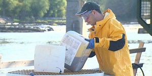 Wildlife Watch: Sea lamprey control in Lake Champlain