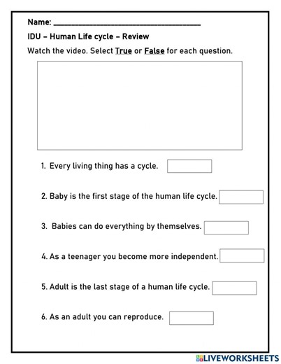 Human lifecycle Review worksheet