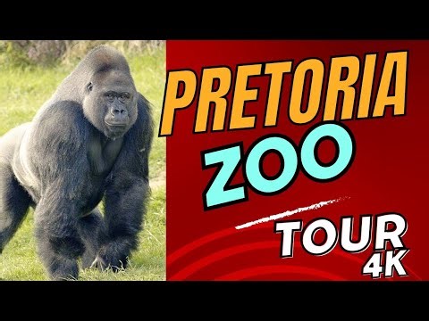 Pretoria Zoo Animals Tour 4k| South Africa