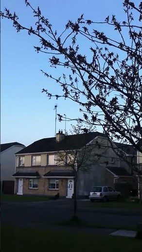 This bird sounds like a Predator!