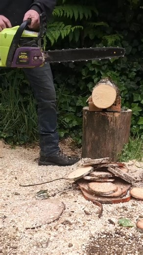 Ported Poulan Wild Thing 40cc Chainsaw #fbreels #chainsawracing #husqvarna #powerful #chainsaw #stihl | The Tree Surgeons