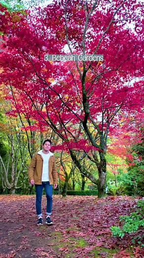 Discover the Top 3 Must-Visit Autumn Holiday Destinations in Australia