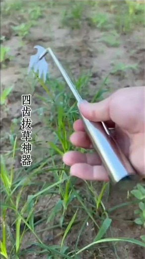 🌿⚙️ Stainless Steel Four-Prong Manual Weeder for Easy Root Removal