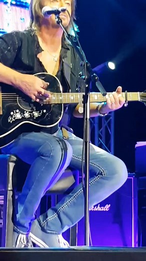 Chris Norman Live Concert: Rock Music Performance