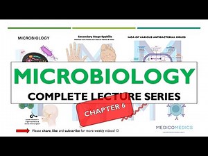 Microbiology Chapter 6 | Parasitology: Types, Life Cycles, Infections & Treatments