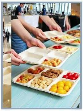 Introducing G-COVE’s Compartment Trays — built for modern foodservice and takeaway.