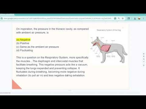 VTNE Test Prep II