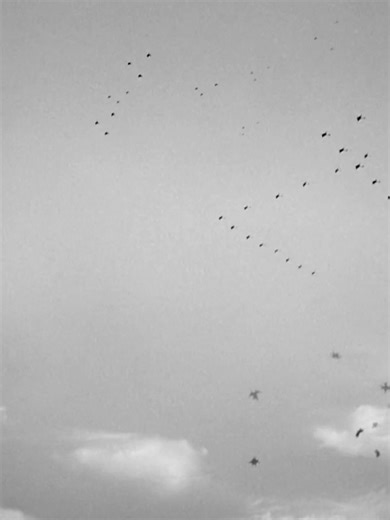 54K views · 1K reactions | They Were Expendable (''45)_Part 10 Best Naval War Films #navy #war #Army “They fought, not for glory, but because they had to.” |Join us: https://www.facebook.com/groups/2068347963523580 . | Best Navy Movies Page | Facebook